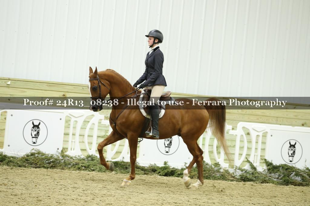 Proof 24R13_08238