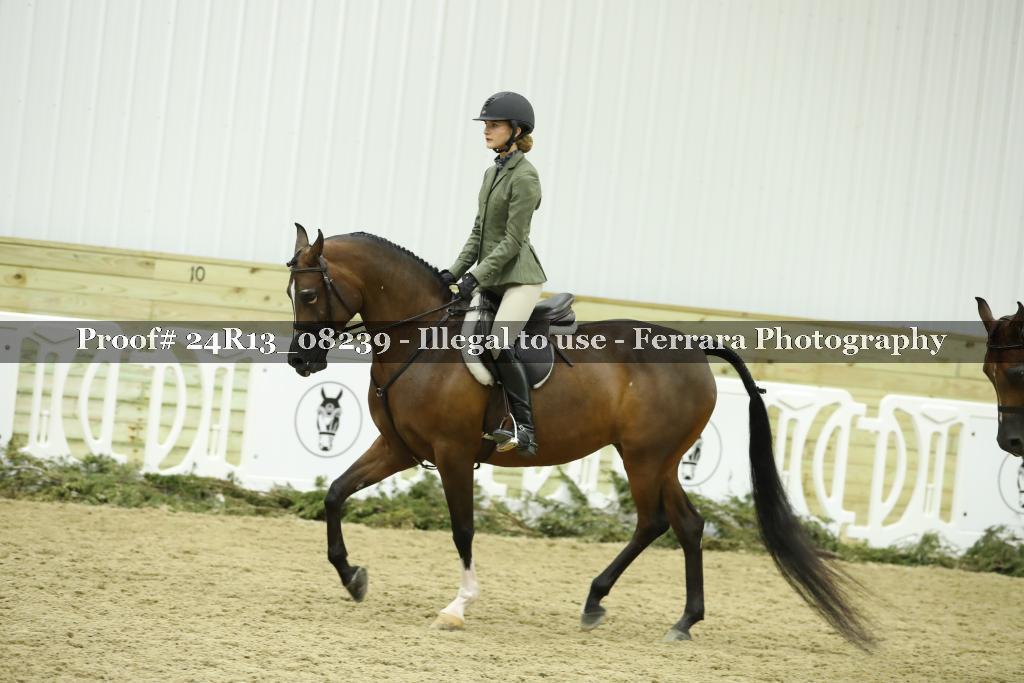 Proof 24R13_08239