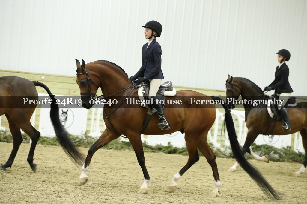 Proof 24R13_08240