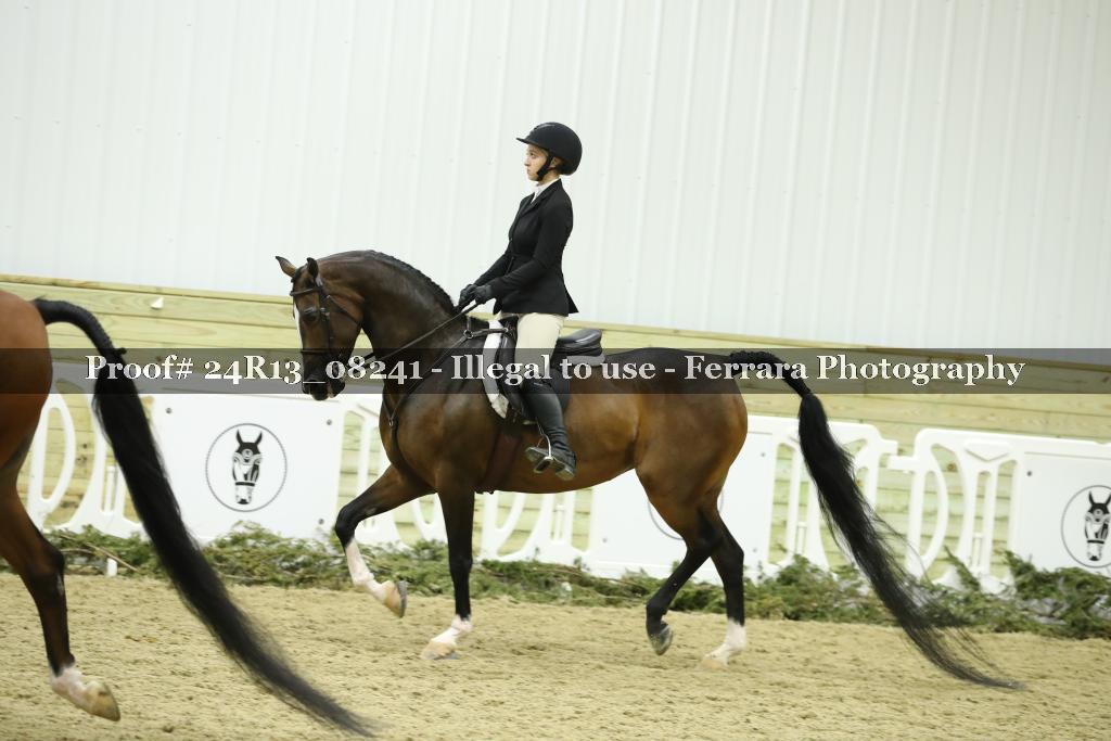 Proof 24R13_08241