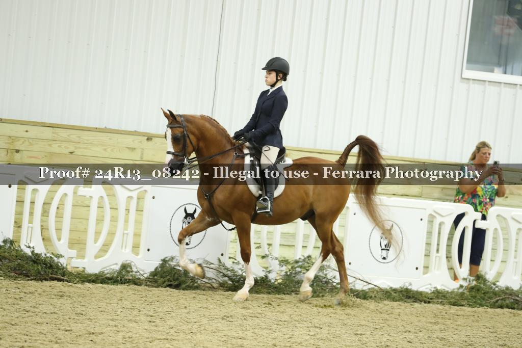 Proof 24R13_08242