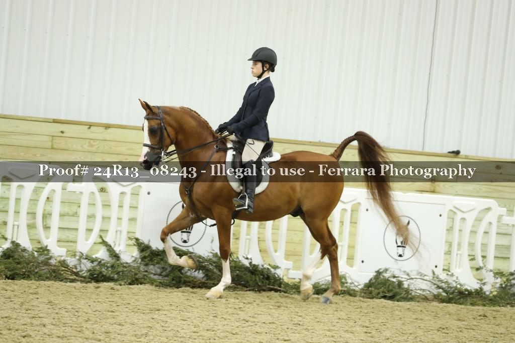 Proof 24R13_08243