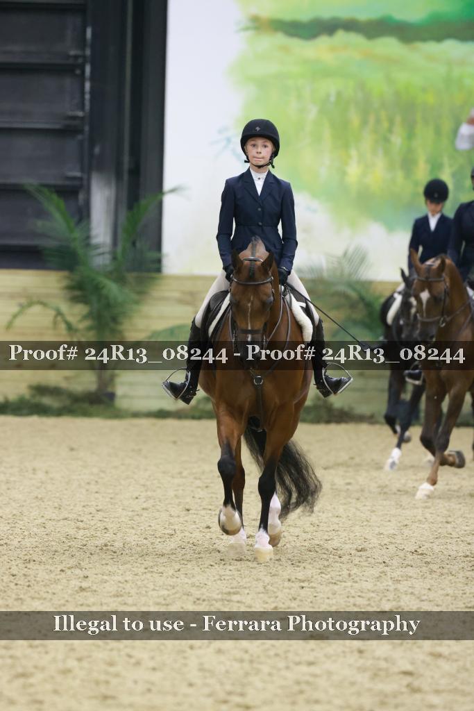Proof 24R13_08244