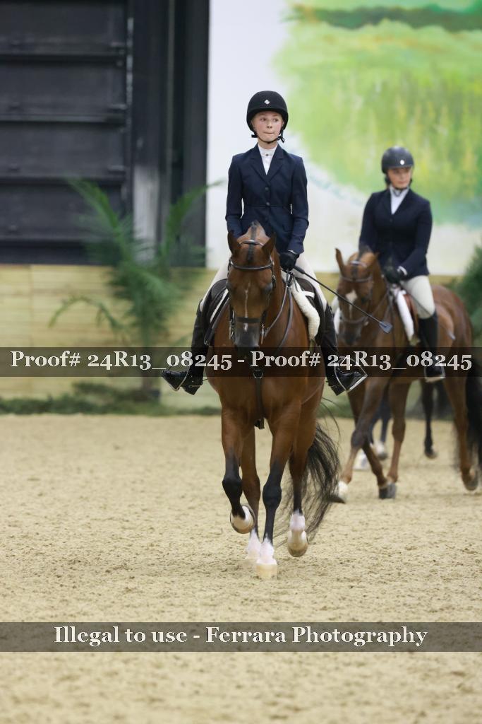 Proof 24R13_08245
