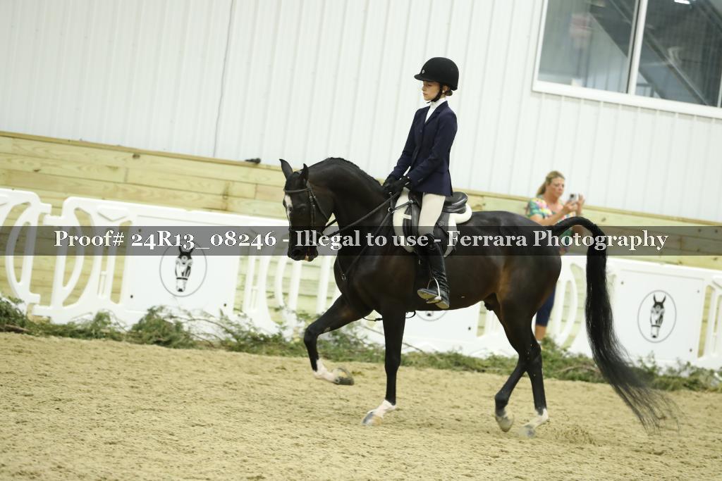 Proof 24R13_08246