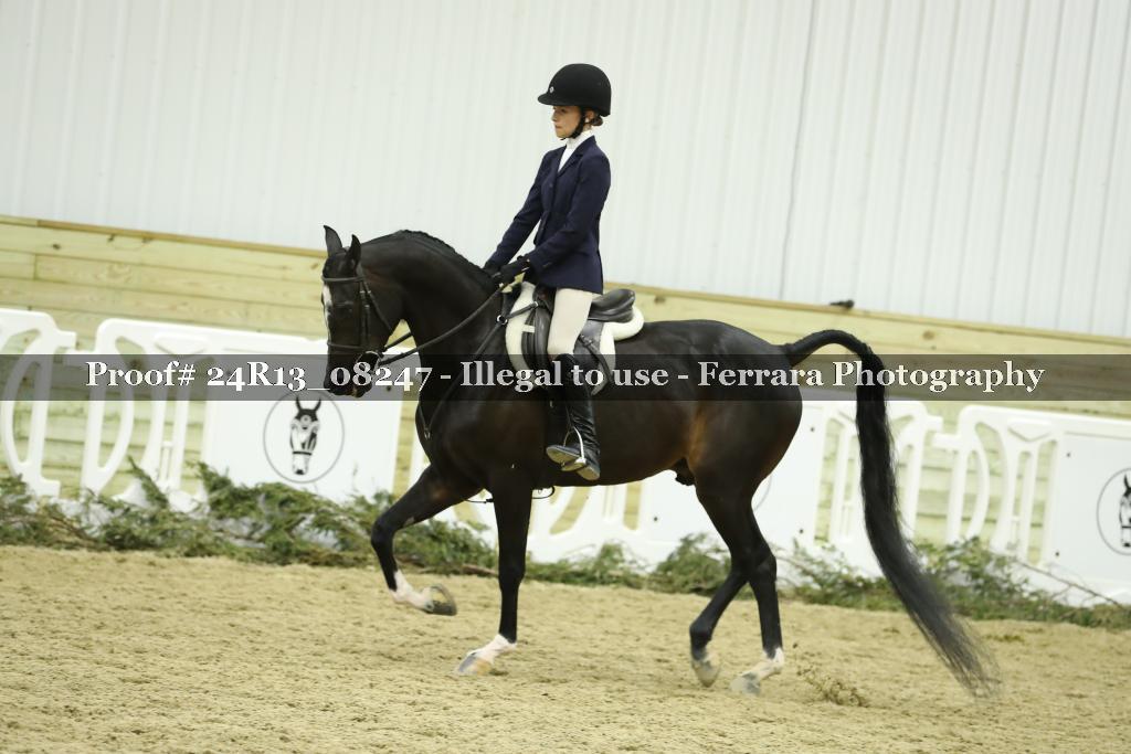 Proof 24R13_08247