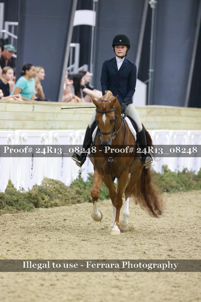 Proof 24R13_08248