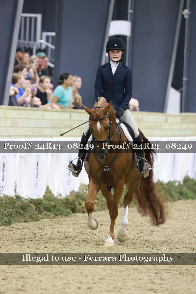 Proof 24R13_08249