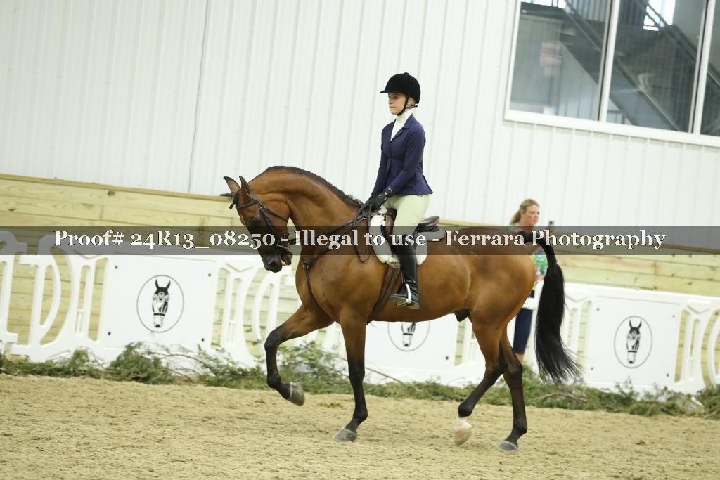 Proof 24R13_08250