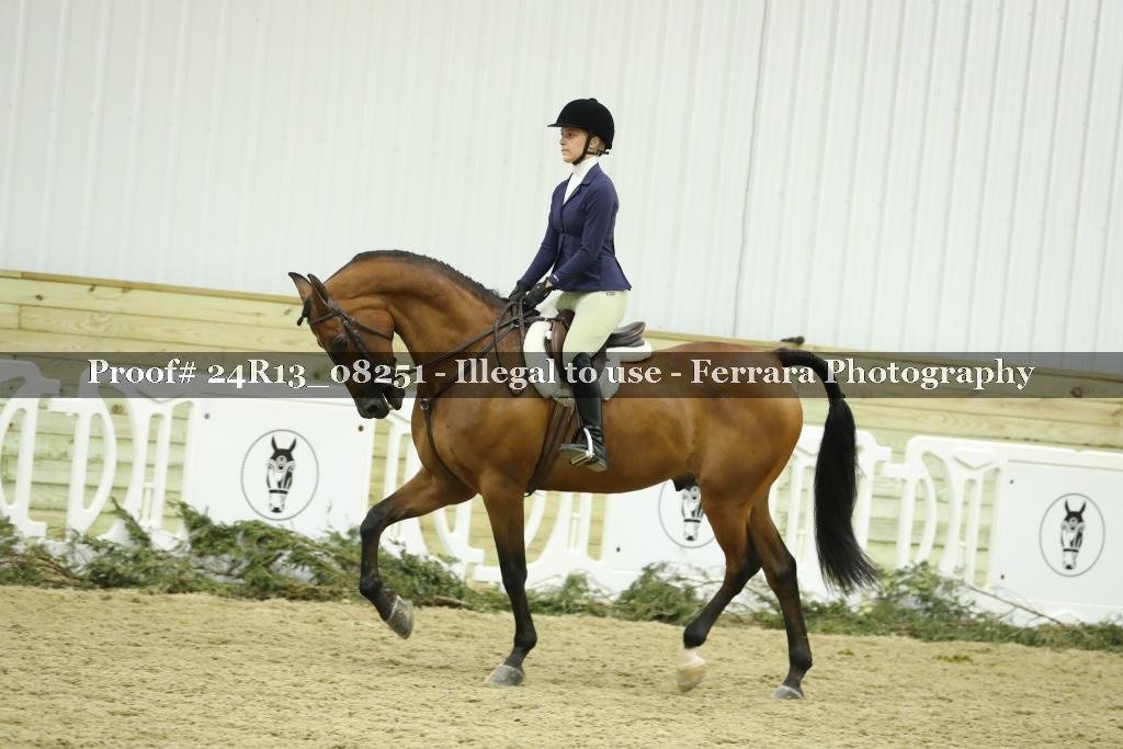 Proof 24R13_08251