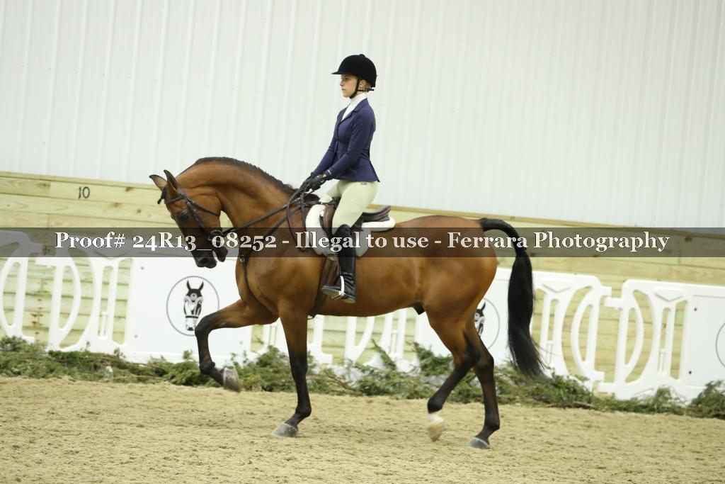 Proof 24R13_08252