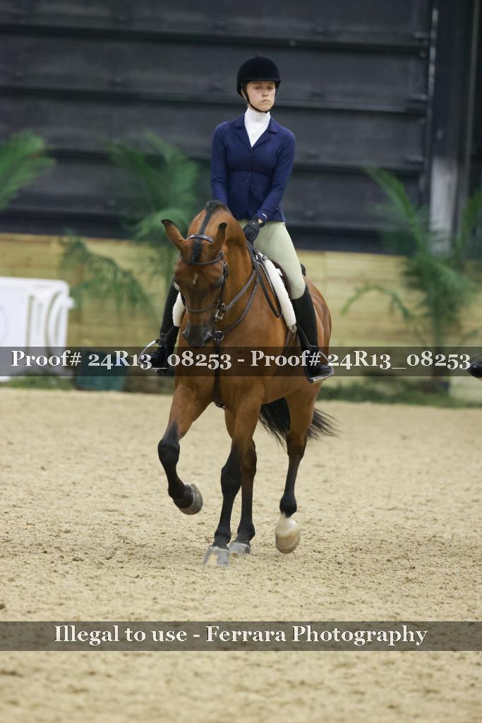 Proof 24R13_08253