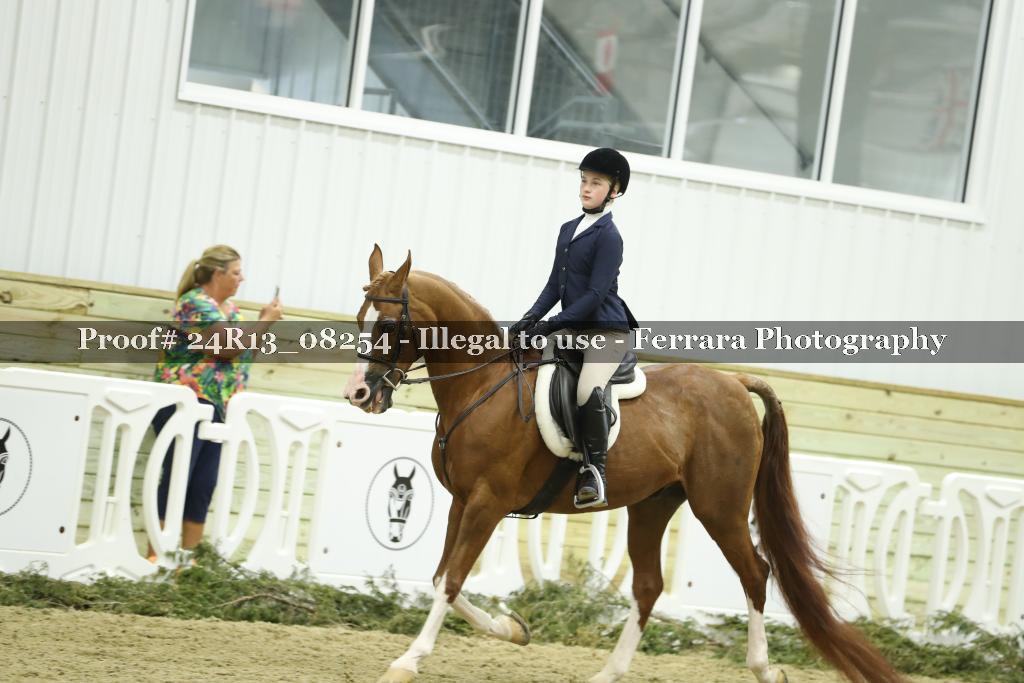 Proof 24R13_08254