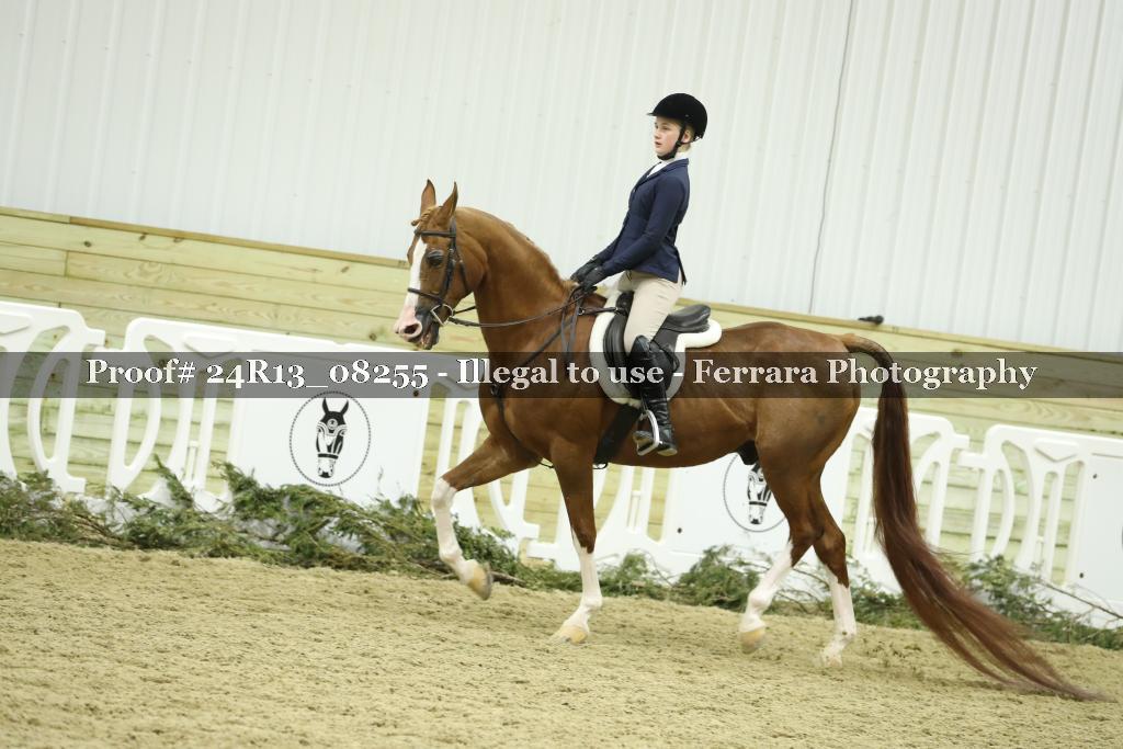 Proof 24R13_08255