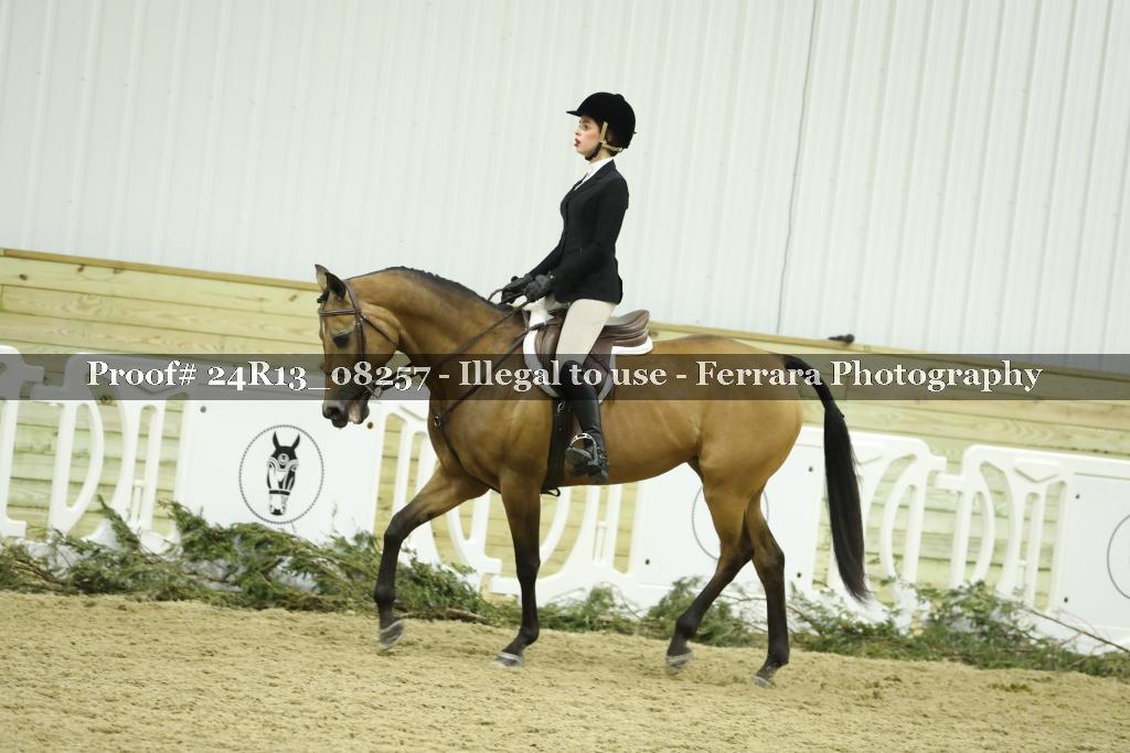 Proof 24R13_08257