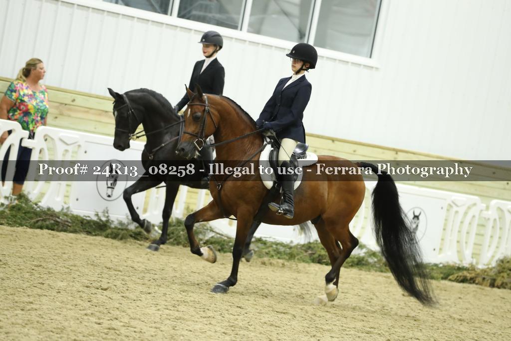 Proof 24R13_08258