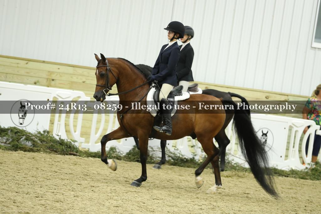 Proof 24R13_08259