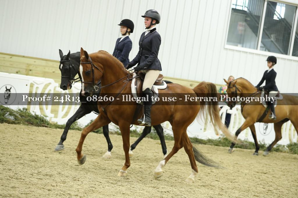 Proof 24R13_08260