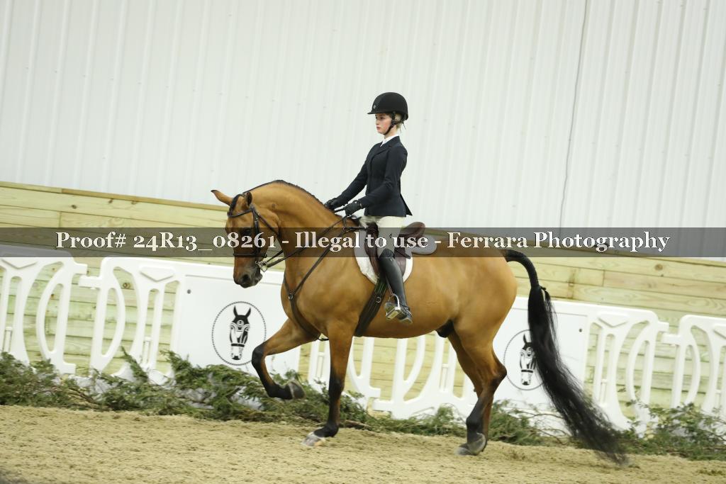 Proof 24R13_08261