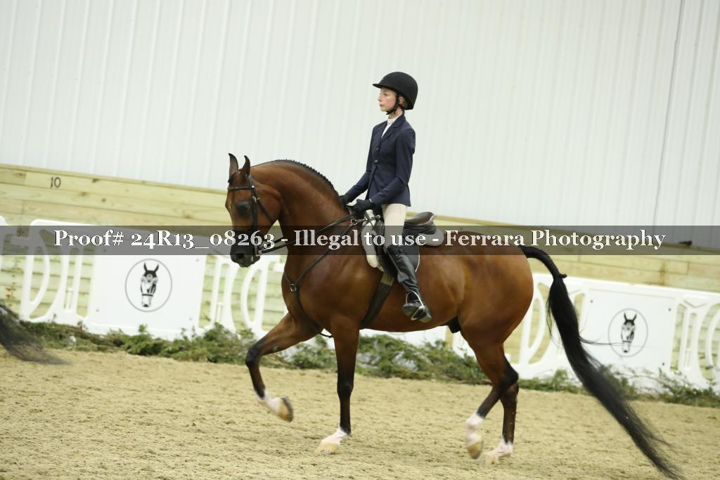 Proof 24R13_08263