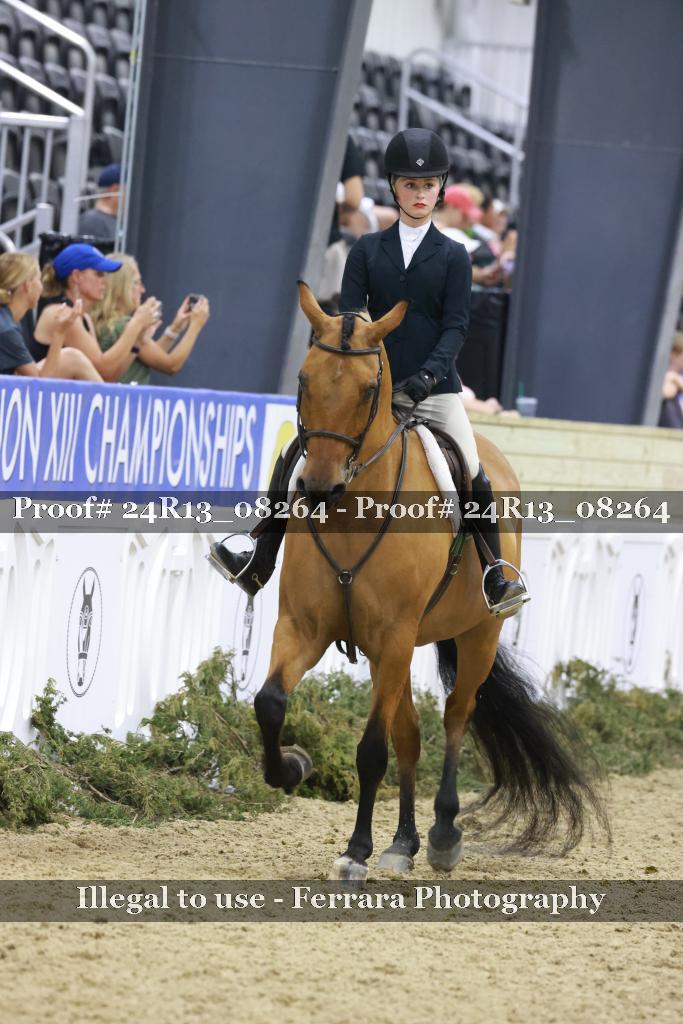 Proof 24R13_08264