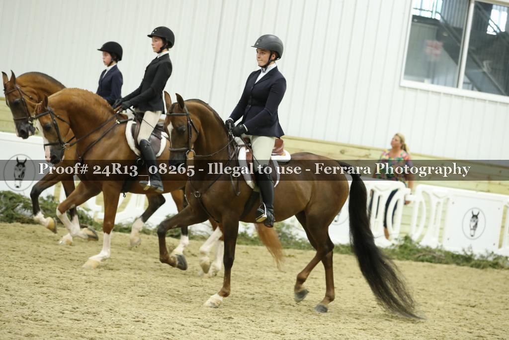 Proof 24R13_08265