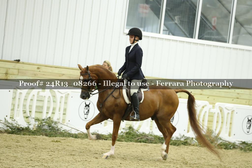 Proof 24R13_08266