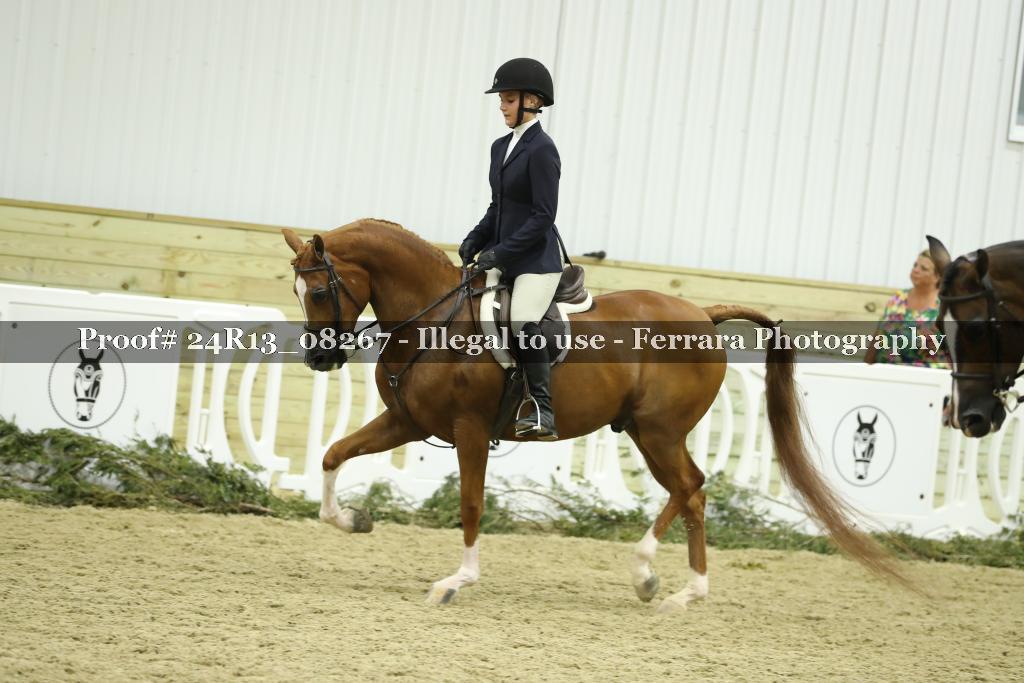 Proof 24R13_08267