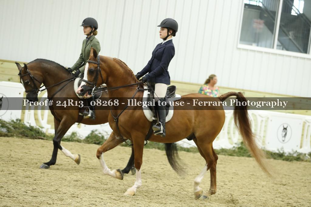 Proof 24R13_08268