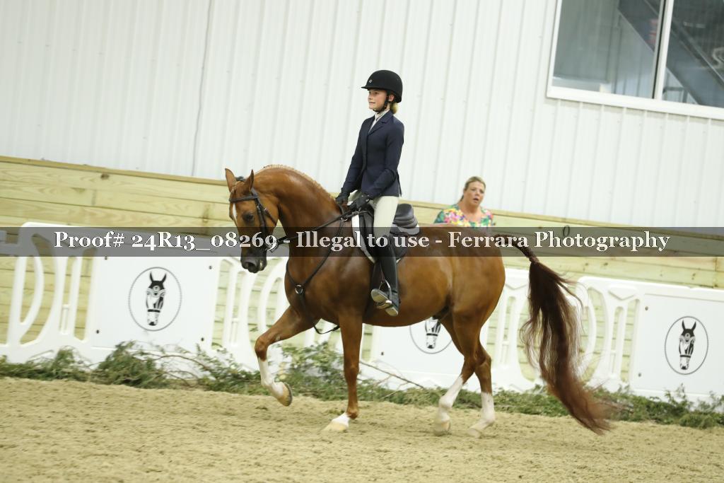 Proof 24R13_08269