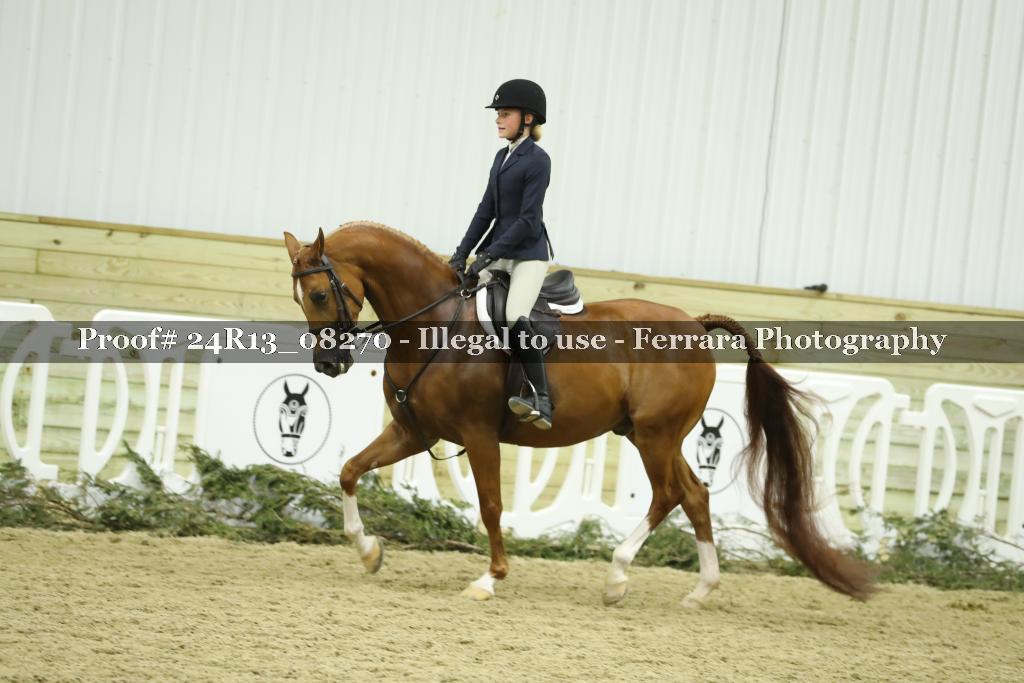 Proof 24R13_08270