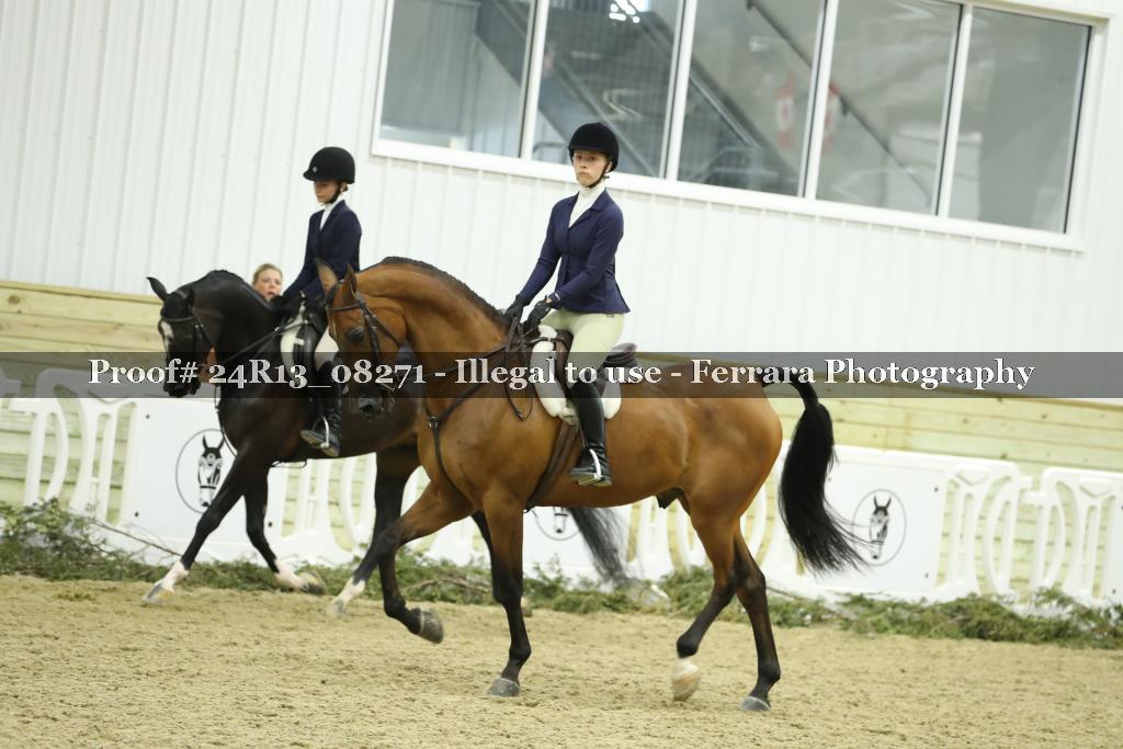 Proof 24R13_08271