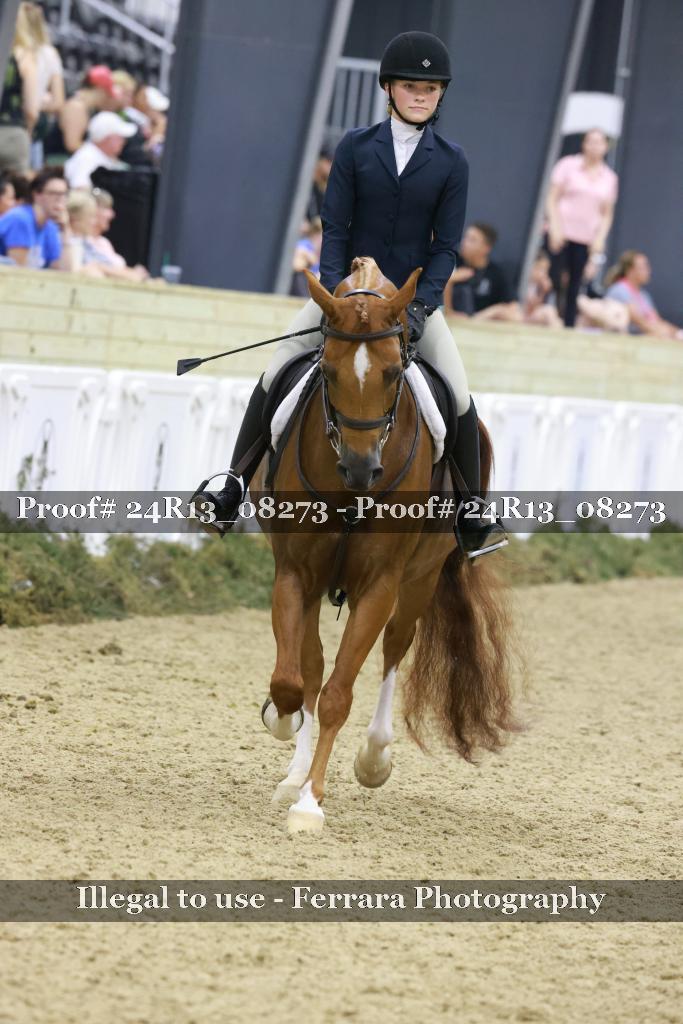 Proof 24R13_08273