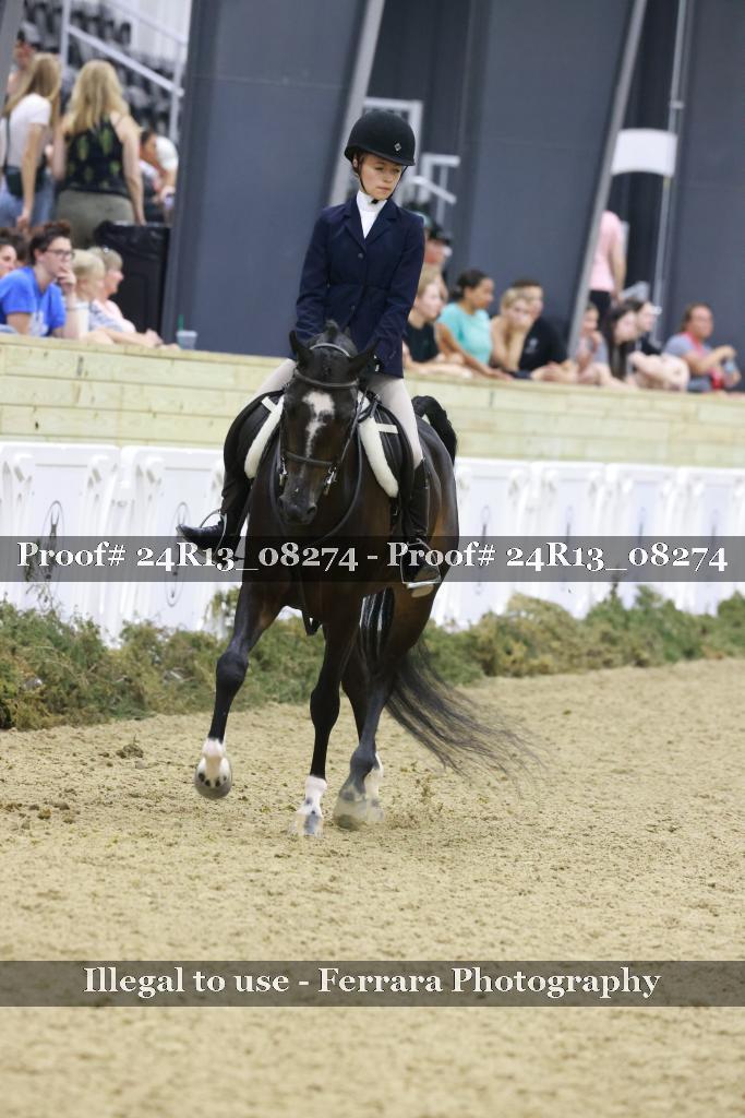 Proof 24R13_08274