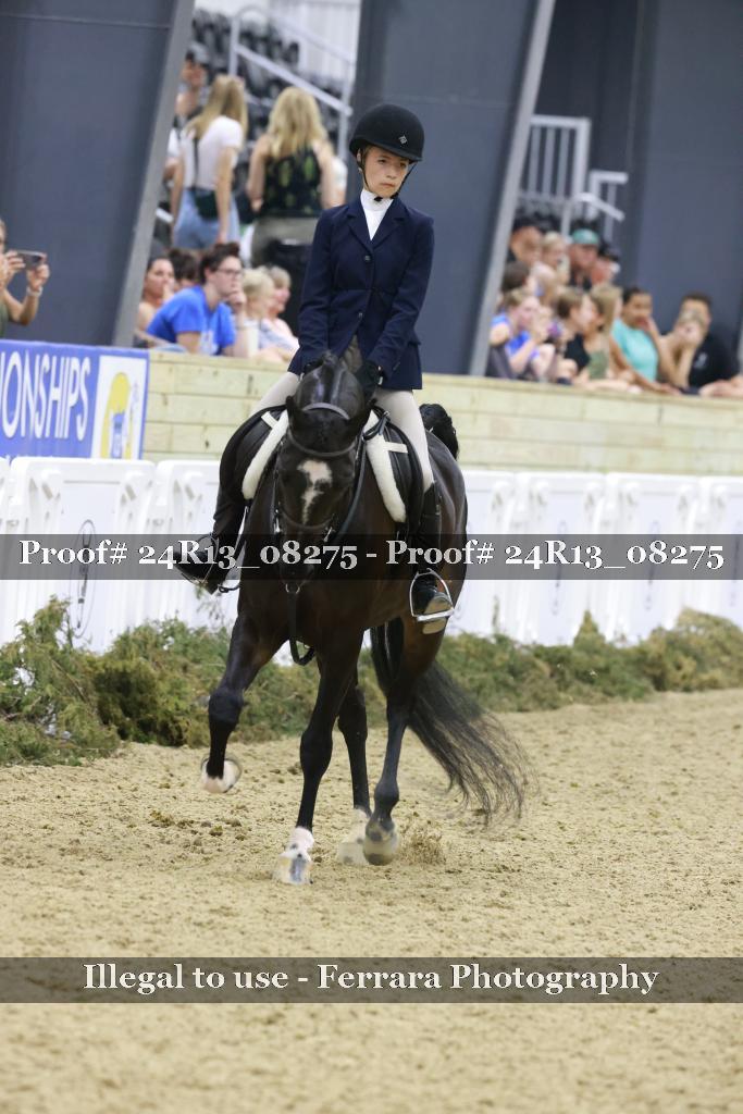 Proof 24R13_08275
