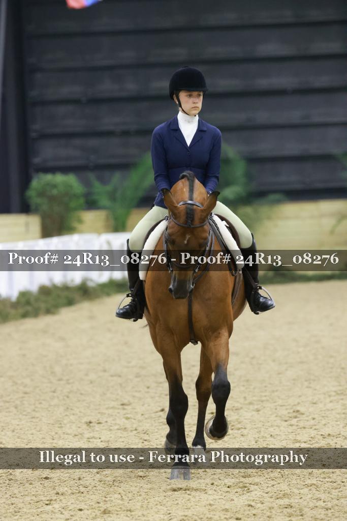 Proof 24R13_08276