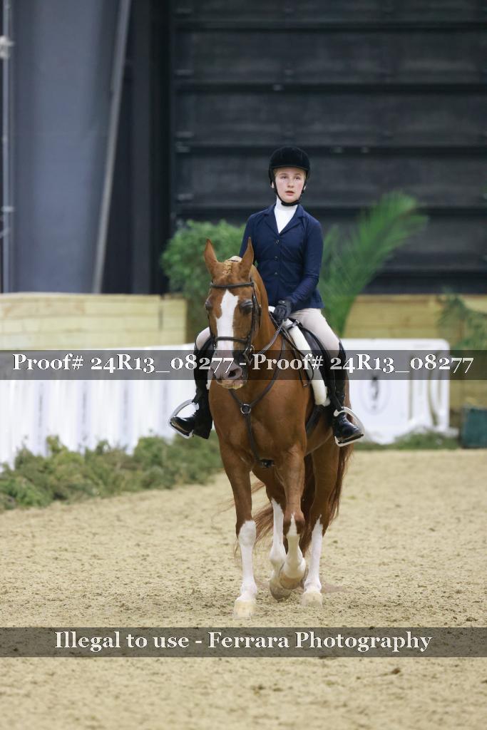 Proof 24R13_08277