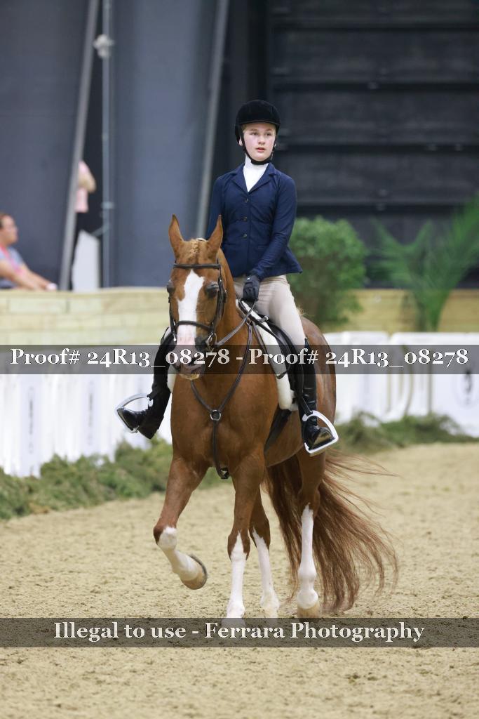 Proof 24R13_08278