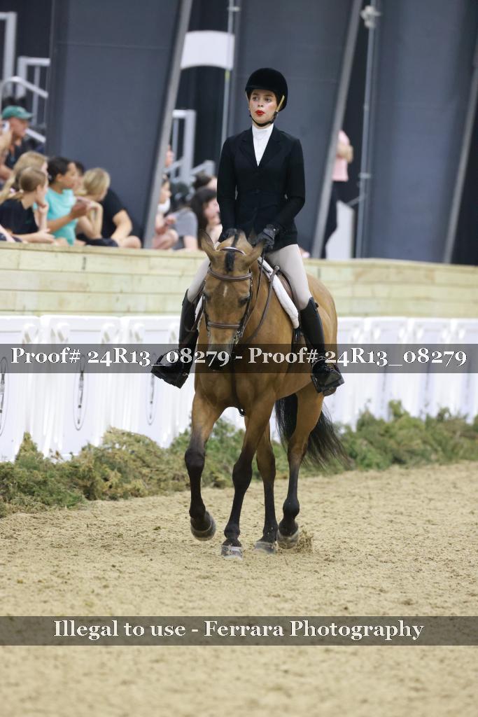 Proof 24R13_08279