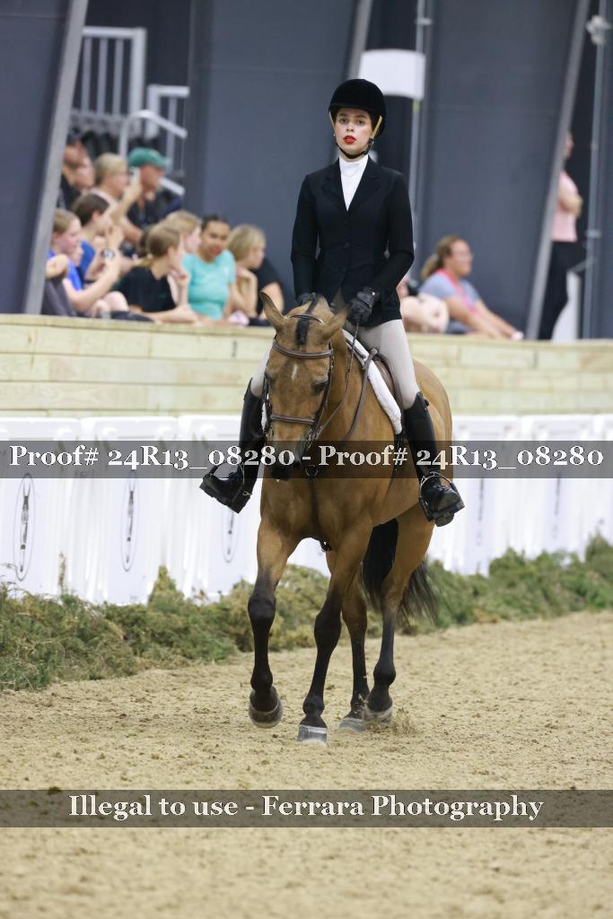 Proof 24R13_08280