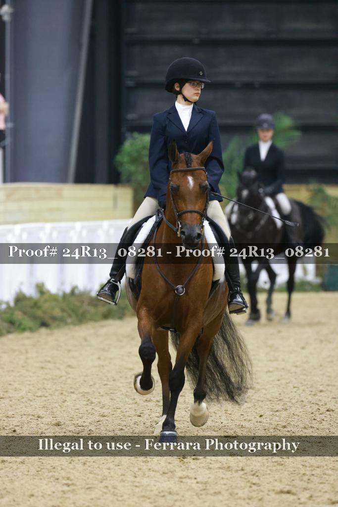 Proof 24R13_08281