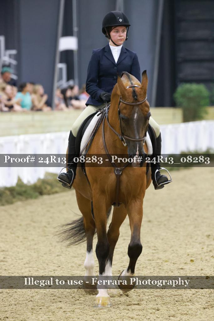 Proof 24R13_08283