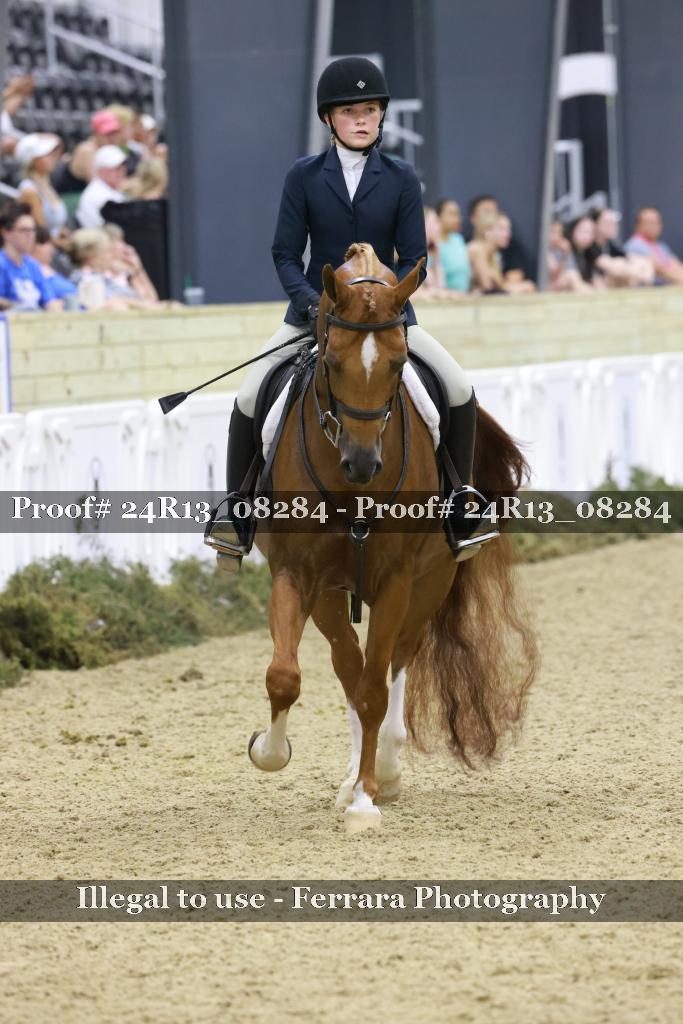 Proof 24R13_08284