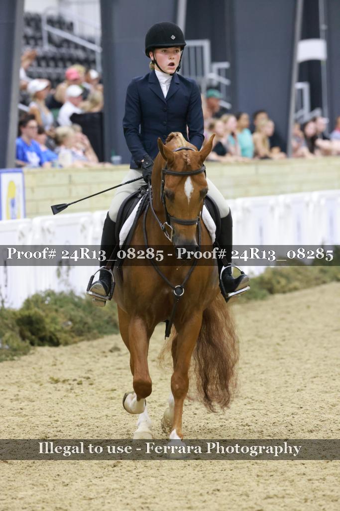 Proof 24R13_08285