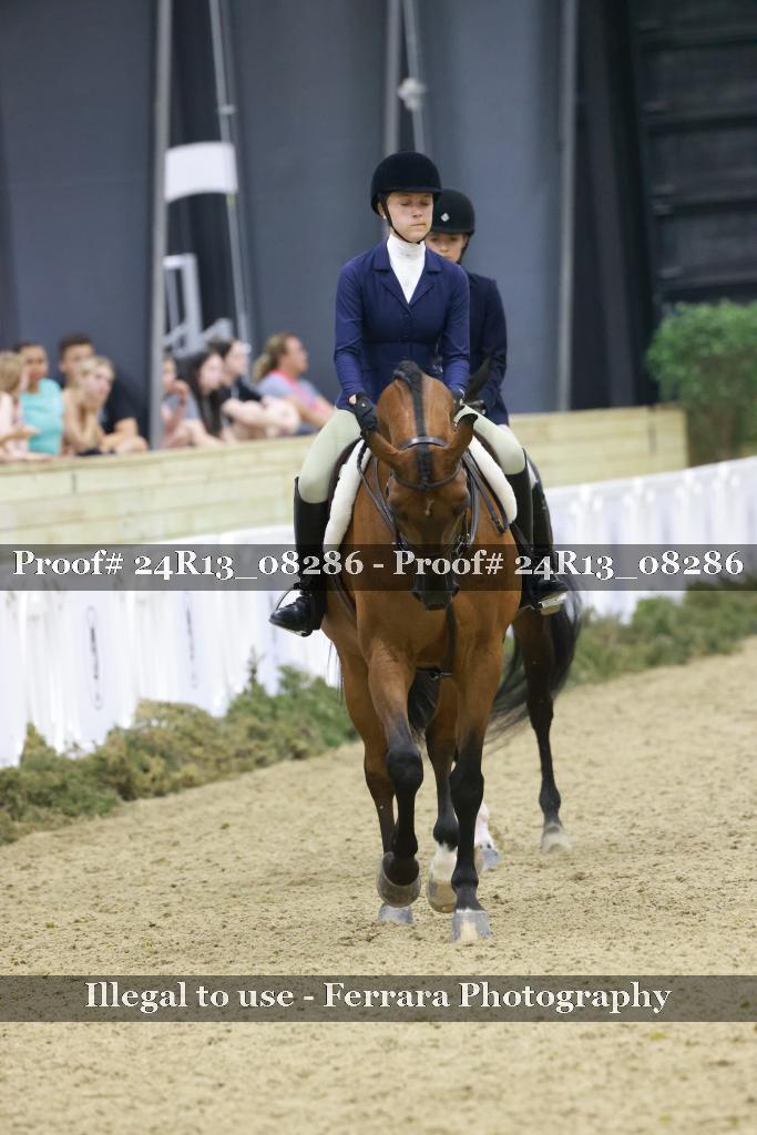 Proof 24R13_08286