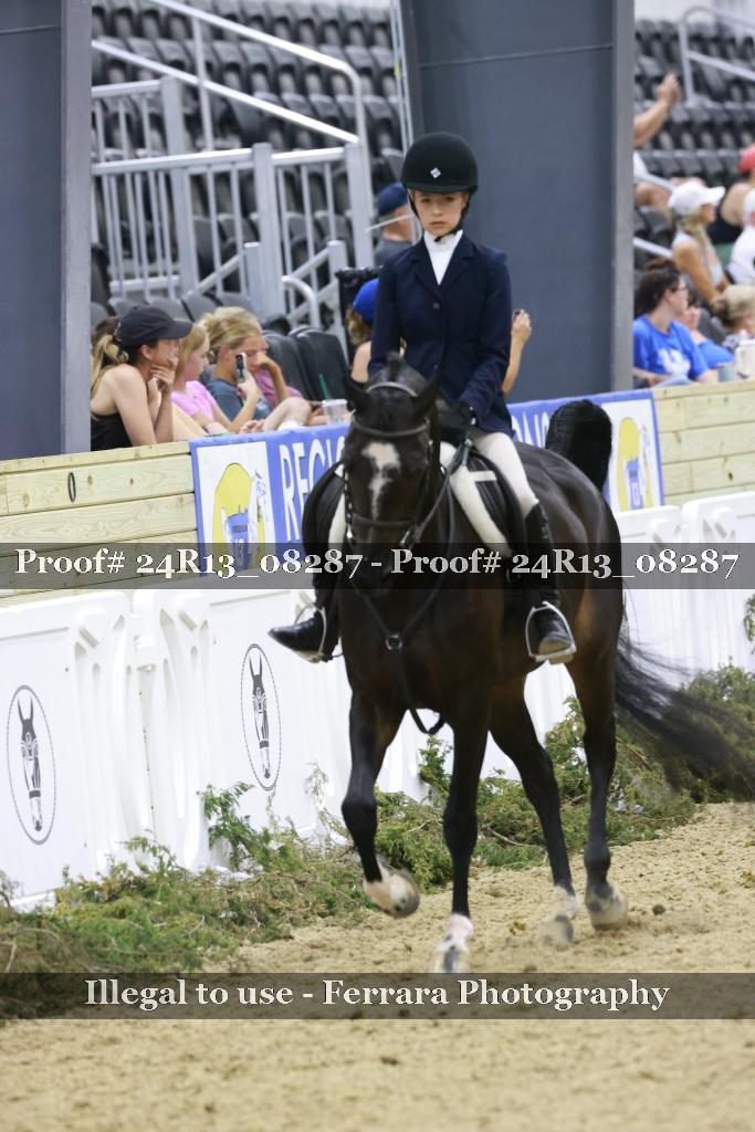 Proof 24R13_08287