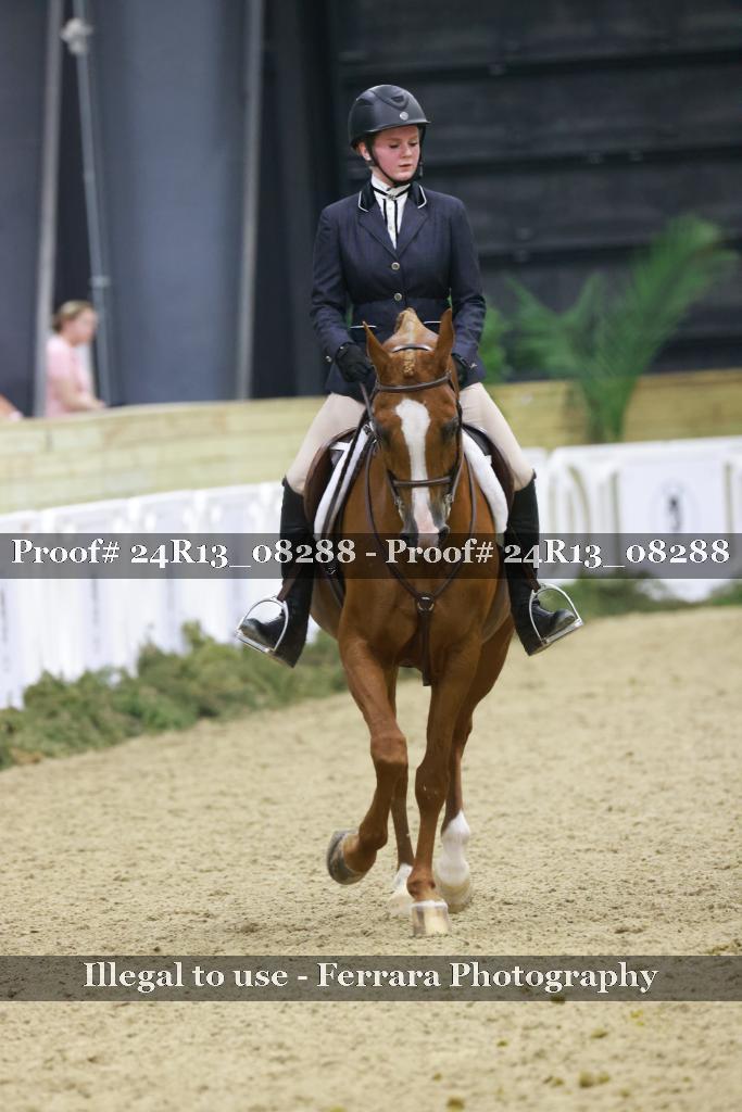 Proof 24R13_08288