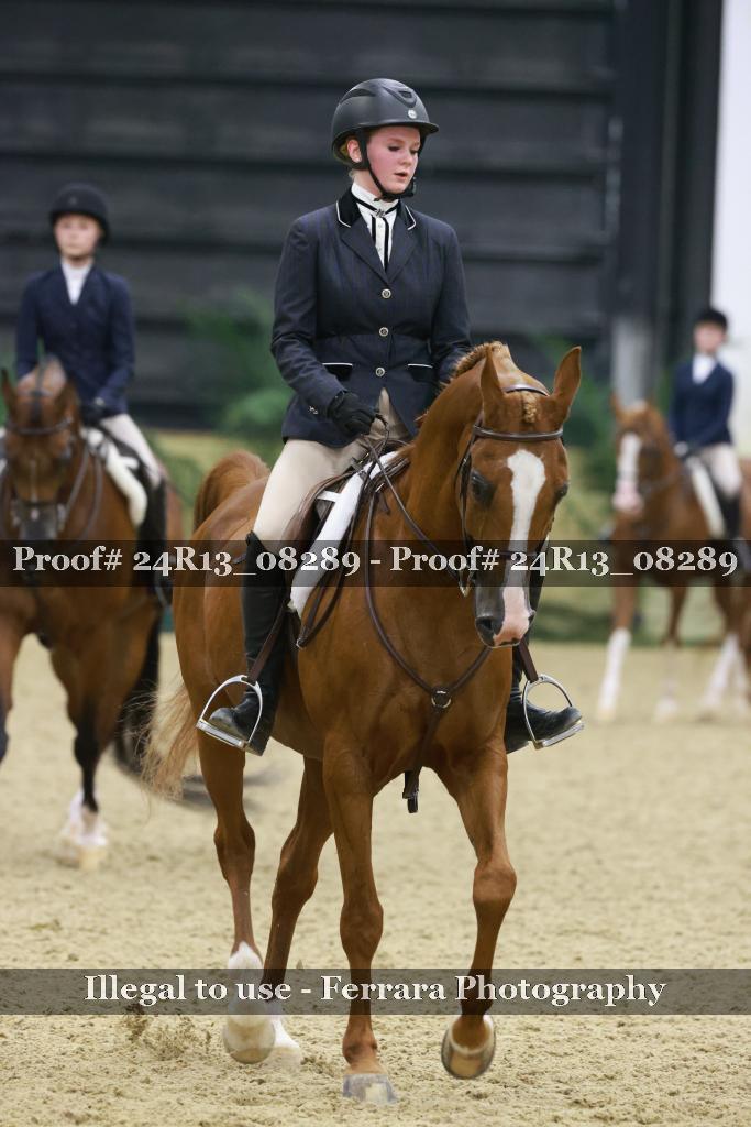Proof 24R13_08289
