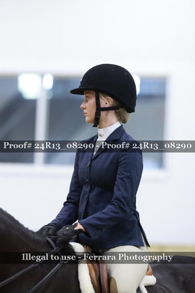 Proof 24R13_08290