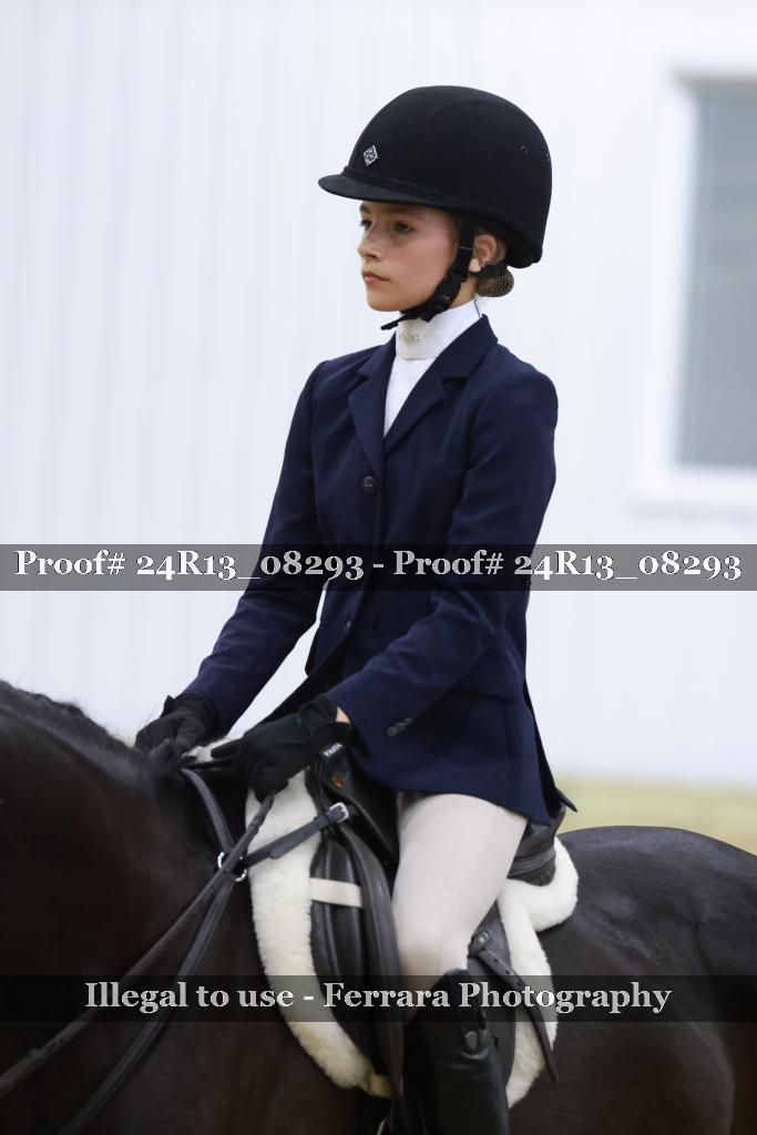 Proof 24R13_08293